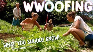 HOW TO WWOOF FOR BEGINNERS  THE BASICS FOR WORK  CHEAP TRAVEL [upl. by Athenian]