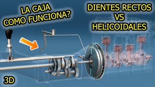 Secretos de Caja  Transmision en 3D 🤯 Necesita Service Como funciona [upl. by Sigfried]