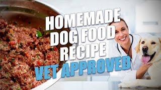 Homemade Dog Food Recipe Vet Approved Limited Ingredient [upl. by Brynna]