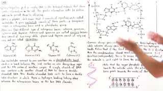 Introduction to DNA [upl. by Ordisy]