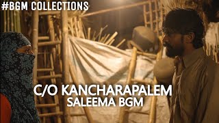 Co Kancharapalem Saleema BGM l Sweekar Agasthi l [upl. by Darwen]