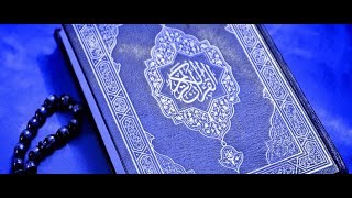 Al Quran full 30 juz 114 sura [upl. by Coleen830]