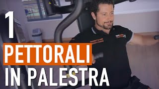 Esercizi PETTORALI Palestra  Allenamento PETTORALI massa [upl. by Pudens]