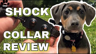 Dog Care Dog Shock Collar Review  Remote Dog Training Collar [upl. by Fred]