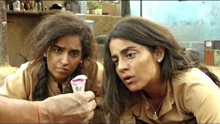 Pataakha full bollywood movie in Hindi Best comedy movie [upl. by Jb720]