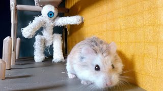 MAJOR HAMSTER vs MUMMY  Pyramid TREASURE HUNT [upl. by Presber]