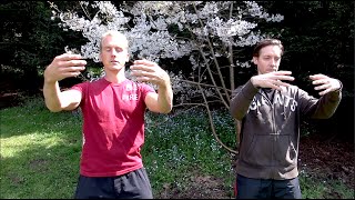 REAL Qigong  Chi Kung [upl. by Menon559]