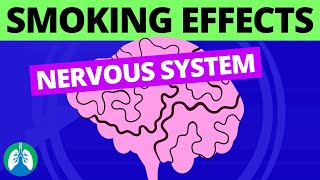 How Does Smoking Affect the Nervous System [upl. by Hegyera]