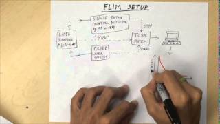 Fluorescence Lifetime Imaging Microscopy FLIM  Overview [upl. by Nollid665]