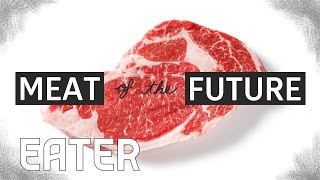 The Meat of the Future How LabGrown Meat Is Made [upl. by Consuela]