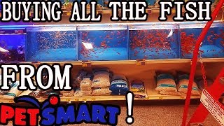 BUYING ALL THE FISH AT PETSMART [upl. by Klaus555]