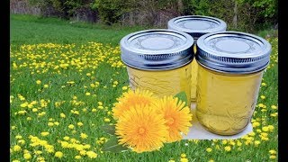 Faire de la CONFITURE de PISSENLIT cramaillotte franccomtoise [upl. by Enomahs]