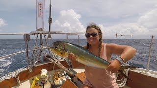 E23 Five Days Alone at Sea Catching a Huge Dorado [upl. by Gauthier]