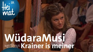 WüdaraMusi Krainer is meiner  Wirtshausmusikanten  BR Heimat  die beste Volksmusik [upl. by Christean]