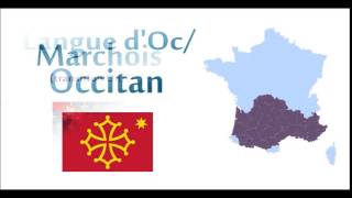 45 langues régionales de France  45 Languages of France [upl. by Alac]