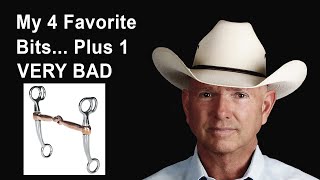 My 4 Favorite Curb Bits… Plus 1 That’s VERY BAD For Your Horse [upl. by Dud]