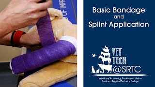 Basic Bandage and Splint Application [upl. by Tamara]