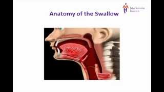 Gastroesophageal Reflux Disease GERD [upl. by Neelia]