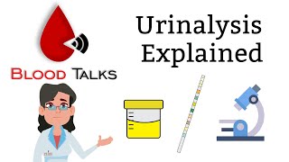 urinalysis explained full  Whats in your urine [upl. by Anelehs]