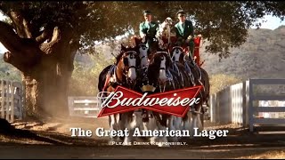 10 Famous Budweiser Super Bowl Commercials [upl. by Ahsinirt]