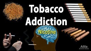 Tobacco Addiction Nicotine and Other Factors Animation [upl. by Nerin]