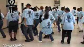 Step  Line Dance  quotCupid Shufflequot [upl. by Catherin526]