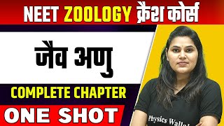 BIOMOLECULES in 1 Shot  हिन्दी माध्यम  Complete Chapter  जैव अणु [upl. by Jemine]