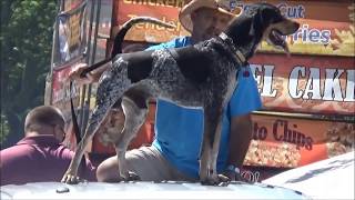 Coon Dog Day Parade Saluda [upl. by Nyrual]