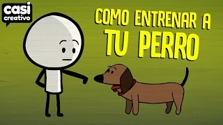 Cómo entrenar a tu perro  Casi Creativo [upl. by Benjie36]