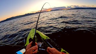 Kayak Fishing in NZ [upl. by Phail]