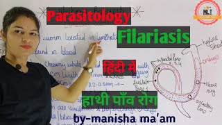 Filariasis हाथीपाँव  wuchereria bancrofti  Microfilaria  Mlt Lecture  Parasitology [upl. by Einhorn]