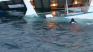 Sharks Attack Man off Sinking Boat [upl. by Dieball937]