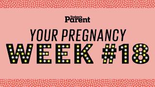 Your pregnancy 18 weeks [upl. by Sert]