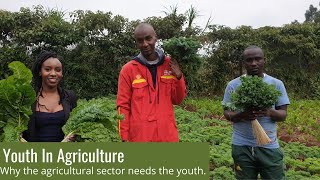 Youth And Agriculture [upl. by Yehudit]