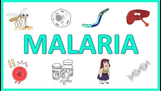 Malaria  Causes Pathogenesis Signs and Symptoms Diagnosis Treatment and Prevention [upl. by Estis]