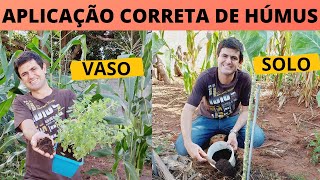 COMO ADUBAR CORRETAMENTE SUAS PLANTAS COM HÚMUS DE MINHOCA DICAS PARA APLICAR EM VASO E SOLO Ep20 [upl. by Nhtanhoj]