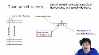 Fluorescence and Raman Spectroscopy [upl. by Larson]