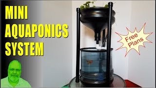 DIY Mini Aquaponics System with a Bell Siphon [upl. by Yrdnal]