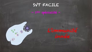 SVT FACILE  1ère spé  Limmunité innée [upl. by Annahsohs722]