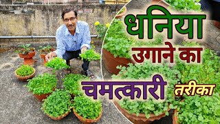 Grow Coriander at home in water Dhaniya उगाने का सबसे आसान तरीका  Coriander in hydroponic system [upl. by Aracot182]