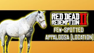 Red Dead Redemption 2  How to Brush Your Horse [upl. by Simah448]