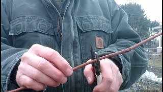 Spring Pruning How To Prune Concord Grape Vines [upl. by Hessney]