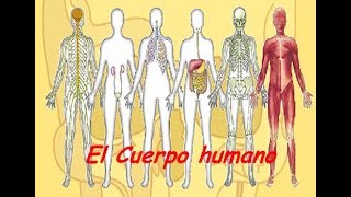 11 SISTEMAS DEL CUERPO HUMANO  DOCUMENTAL COMPLETO  Osgam [upl. by Irovi]