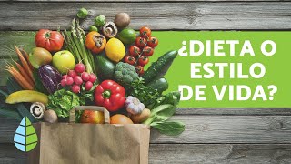 Diferencia entre VEGANO VEGETARIANO y CRUDIVEGANO [upl. by Kciderf]