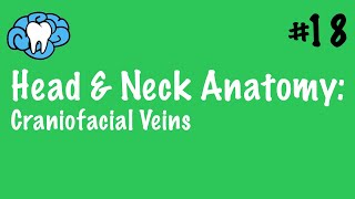 Head amp Neck Anatomy  Craniofacial Veins  INBDE [upl. by Adnik]