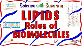 Lipids as Biomolecules [upl. by Publius]