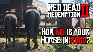 Red Dead Redemption 2 Horses  Size Comparison [upl. by Tracee]