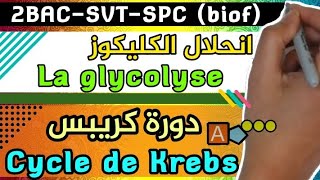 Consommation de la matière organique et production de lénergie 2BAC SVT  SPC biof Partie 4 [upl. by Cressi116]