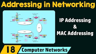 Addressing in Networking [upl. by Yuria604]