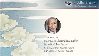 Thupten Jinpa How Does Dharmakaya Differ from BuddhaNature [upl. by Eibo]